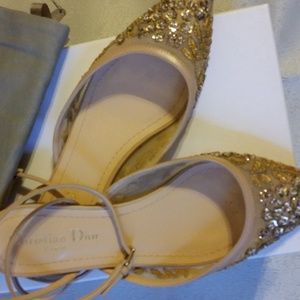 Dior Ballerina Evening Slipper